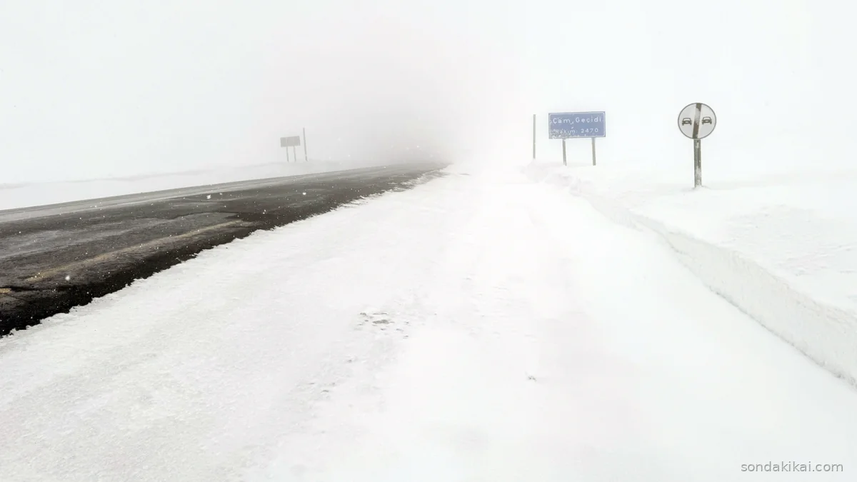 Ardahan'da Kışın Zorlu Yüzü: Yoğun Kar ve Sis Ulaşımı Felç Etti