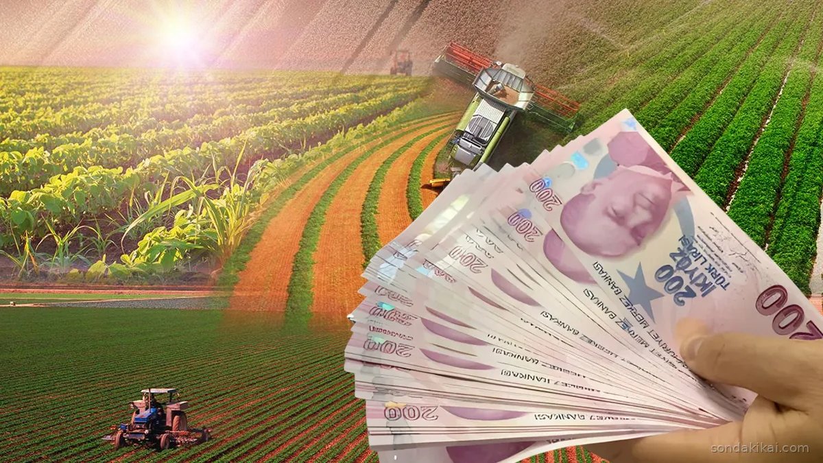 Geleceğin Tarımı Dijitalleşiyor: Akıllı Projelere 145 Milyon TL'lik Yatırım