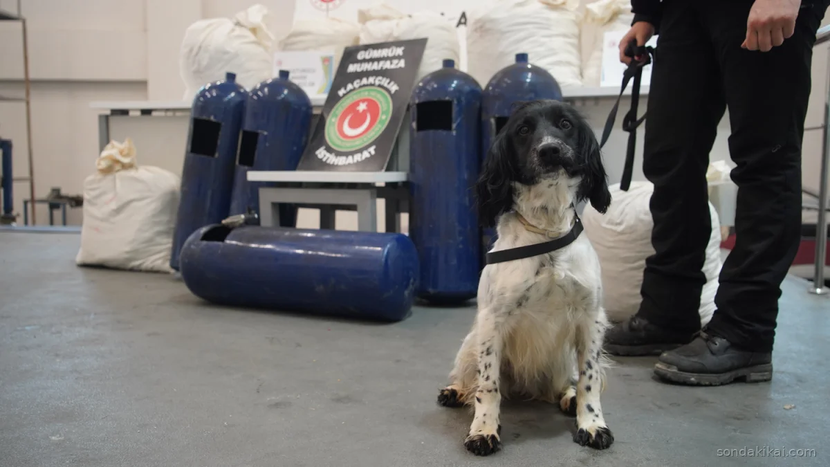 İpsala'da LPG Tankında Uyuşturucu Şoku: 35 Kilo Zehir Ele Geçirildi