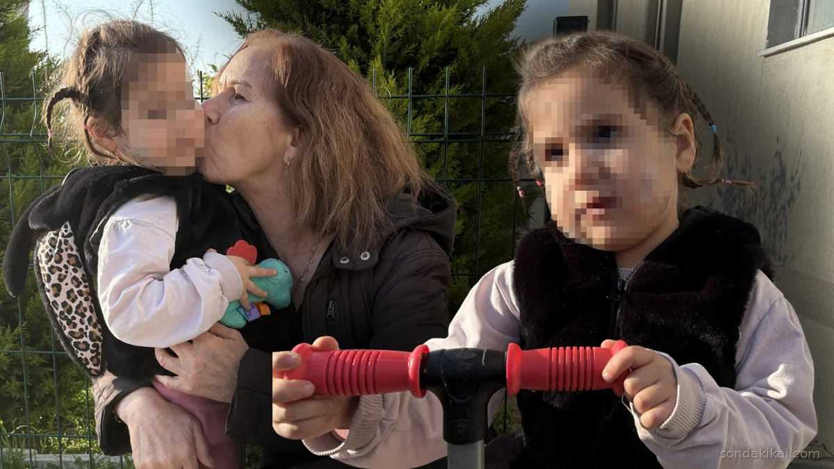 İzmir'de Komşu Köpeklerin Dehşeti: Minik Ada'nın Yüzü Yaralandı